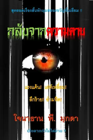 ปกนิยาย