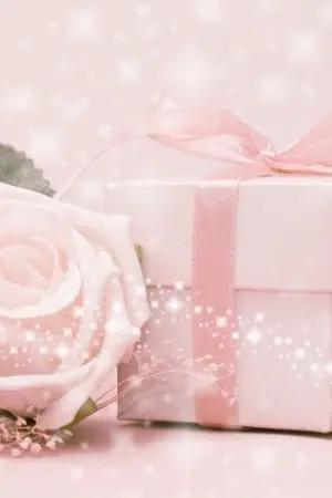 ปกนิยาย แผนรักพิชิตใจให้มารักกัน