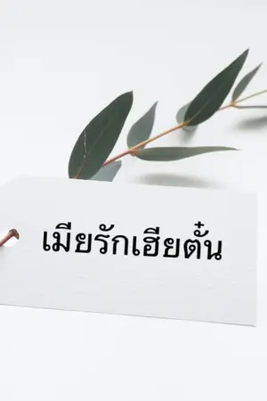 ปกนิยาย