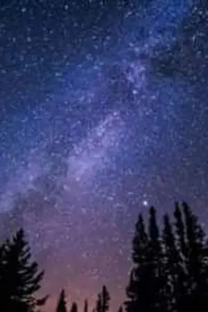 ปกนิยาย not lovE iF you