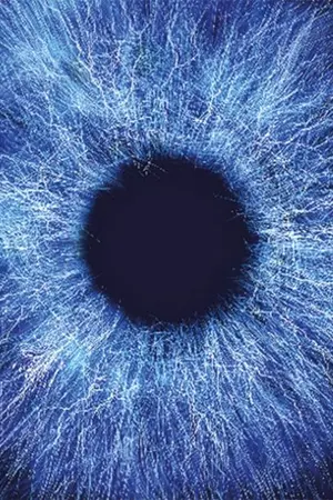 ปกนิยาย Valdis' Adventure การผจญภัยกายทมิฬ