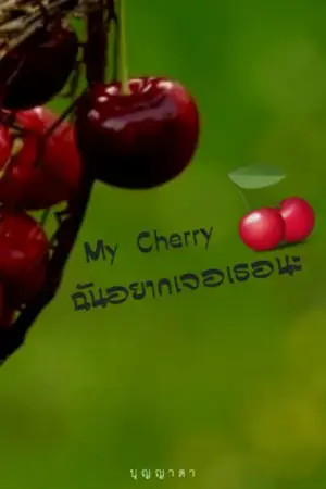 ปกนิยาย My Cherry ฉันอยากเจอเธอนะ