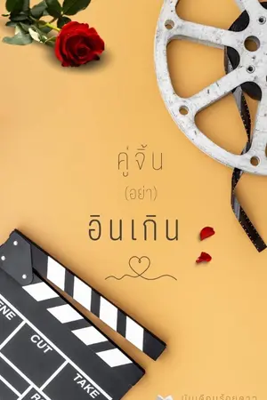 ปกนิยาย คู่จิ้น(อย่า)อินเกิน