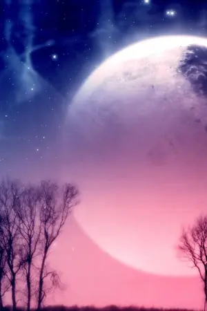 ปกนิยาย (SFB) Sif Fen Blade Online [Yaoi]