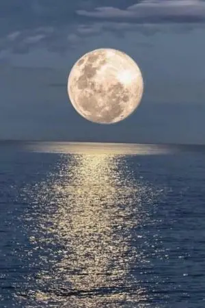 ปกนิยาย ทางเชื่อมหัวใจคือมหาสมุทร//ป๋อจ้าน