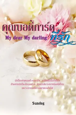 ปกนิยาย