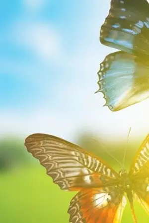 ปกนิยาย ขายหนังสือสต๊อก (MPreg) Dear you, My Lovely husband รักที่สุดคุณสามี