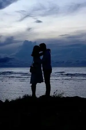 ปกนิยาย แค่เพียงเธอที่ต้องการ