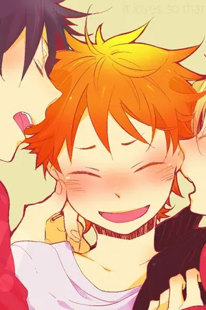 ปกนิยาย [Haikyuu!!  all x hinata] ผมน่ะเป็นแค่แมวนะ
