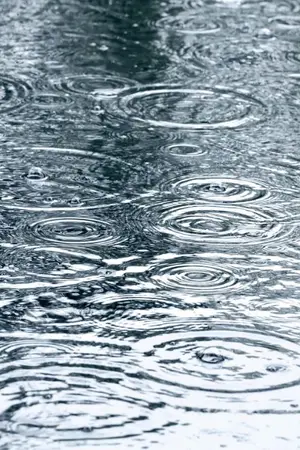 ปกนิยาย Rainverse | ความเงียบจากสายฝน | Yaoi