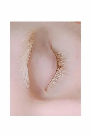 ปกนิยาย เป็นที่ลักษณ์ || YAOI