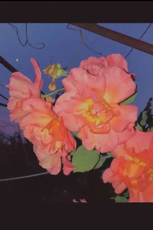 ปกนิยาย When I make love with U || YAOI