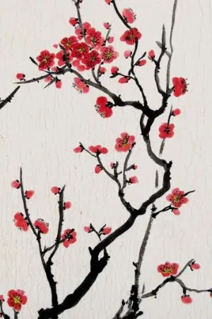 ปกนิยาย ดอกท้อของมังกร