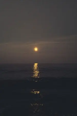 ปกนิยาย She is mute | doten