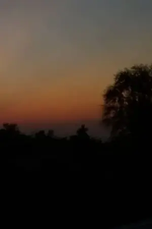 ปกนิยาย มันเป็นความรักหรือความบ้าคลั่ง