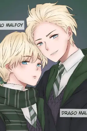 ปกนิยาย [Fic Harry Potter] Why I'm Draco twins