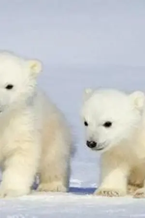 ปกนิยาย ฝันระดับ​ HD