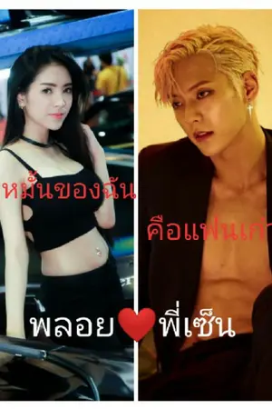 ปกนิยาย