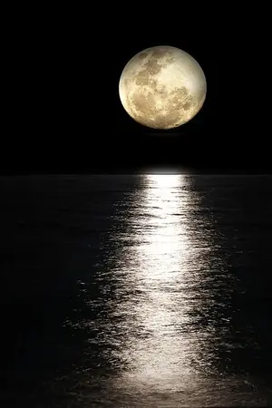 ปกนิยาย [ OS ] | selenophilia | PRODUCE101