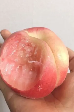 ปกนิยาย SO/SF CHANBAEK - PINK