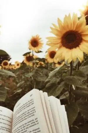 ปกนิยาย ♡Shorts on tops♡ kookmin (rewrite)