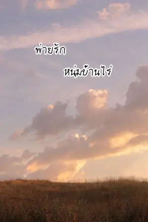 ปกนิยาย พ่ายรัก หนุ่มบ้านไร่