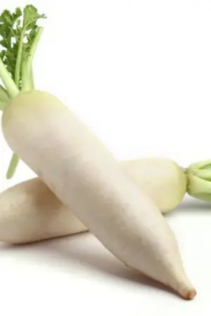 ปกนิยาย แอบแซ่บกับผักในสวน [PWP]