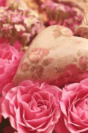 ปกนิยาย รักวุ่นๆของนายหน้าหล่อ