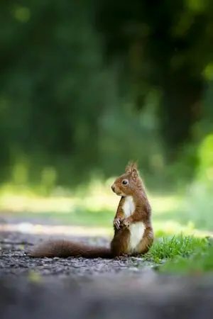 ปกนิยาย วิธีระบายอารมณ์ต่างๆ