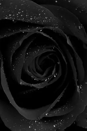 ปกนิยาย [yaoi] นอกใจ