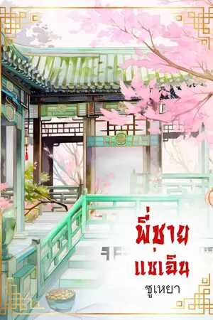 ปกนิยาย พี่ชายแซ่เฉิน