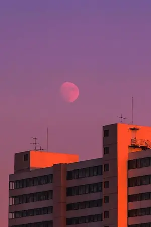 ปกนิยาย {SF/OS Bozhan} Once again