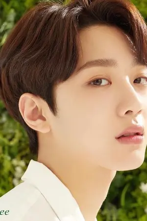 ปกนิยาย [Kuanlin x You] Curse Cinderella