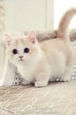 ปกนิยาย วันหนึ่งในเกม