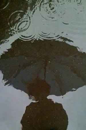 ปกนิยาย ดังดวงใจ