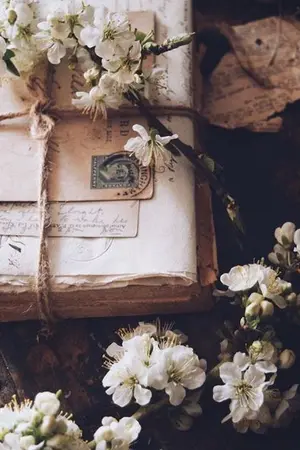 ปกนิยาย ฝั น ดี เ ถิ ด น ะ ค น ดี • YAOI