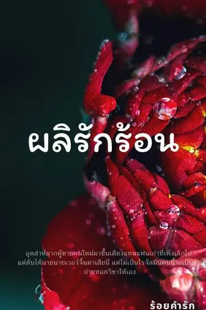 ปกนิยาย ผลิรักร้อน (The end)