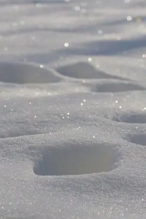 ปกนิยาย every winter (tmrhp)