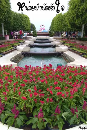 ปกนิยาย หน่วยบำบัดหัวใจ