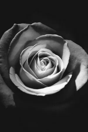 ปกนิยาย [For love]: Our love for each other just isn't equal..'