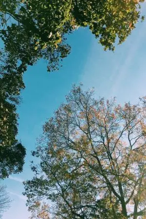 ปกนิยาย แปลเพลงตามอารมณ์