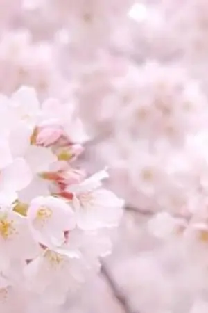 ปกนิยาย [BTS KOOKV] กุกวีที่แปลว่า...