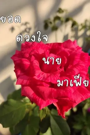 ปกนิยาย ยอดดวงใจนายมาเฟีย