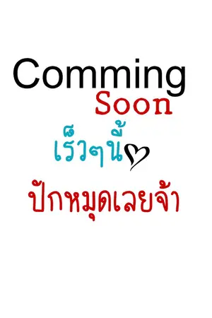 ปกนิยาย