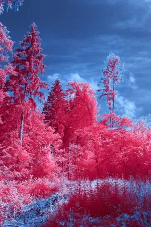 ปกนิยาย วิญญาณต่างมิติภพ(BL)