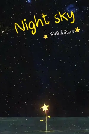 ปกนิยาย Night sky ท้องฟ้าที่เห็นดาว