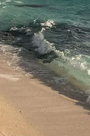 ปกนิยาย [Fanfic Haikyuu] My Mermaid (Tsukishima x OC)