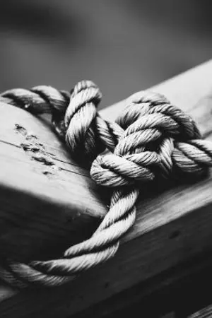 ปกนิยาย ปมแค้น