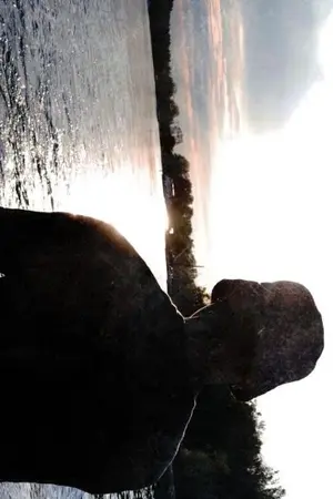 ปกนิยาย The Reasons 4