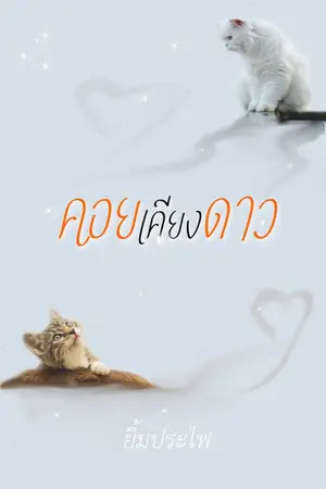 ปกนิยาย คอยเคียงดาว
